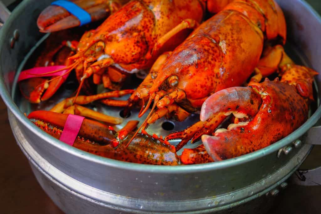 The Trump administration got the EU to drop its retaliatory tariff on lobsters in return for some US trade concessions. The tariff had devastated the Maine lobster industry. But signs that the administration is beginning to realize the disaster of its "America First" bilateral trade pact policy have appeared in the form of an op ed by US Trade Representative Lighthizer in the Wall Street Journal.