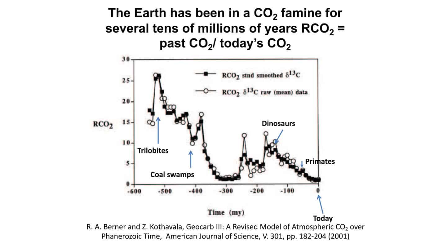 Figure 1. Life has thrived and evolved, through ice ages and inter-glacial warming periods, in terrestrial environments with much, much higher atmospheric CO2 levels than at present (except for the Carboniferous period around 300 million years ago).