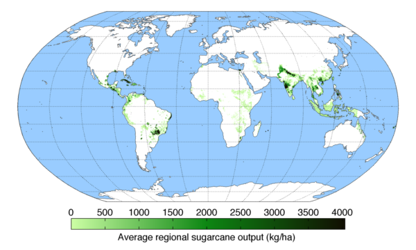 Most of the world's sugar is produced outside the US. With a magnifying glass, one can locate in the map above the tiny dots of green representing US sugar producers in Florida, Louisiana, and Texas. Thanks to the US government's "candy-coated cartel," US consumers and food processors pay typically twice the world price for sugar. While the US has just accepted the WTO's ruling against US countervailing duties (CVDs) imposed on Spanish ripe olives, the EU's Common Agricultural Policy (CAP) and US agricultural protectionism dating back to the FDR administration continue to punish US consumers and developing sector agriculturalists.