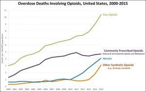 Chart of opioid death by type and year